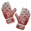 Goalkeeper Gloves 2020