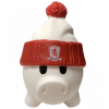 Money Pig