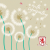 Dandelion Card FD21