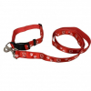 Dog Collar and Lead Set