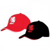 Ad 2D MFC and Lion Baseball Cap