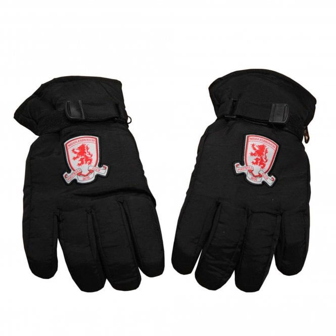 Adult Ski Gloves
